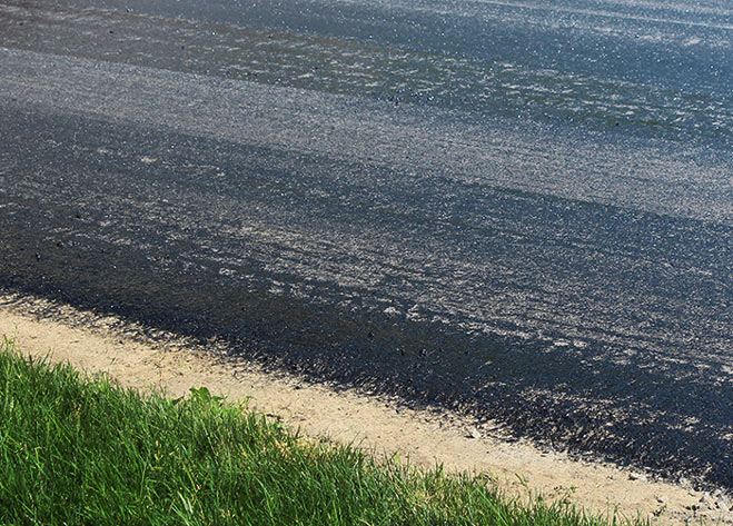 Pavage en asphalte Saint-Constant