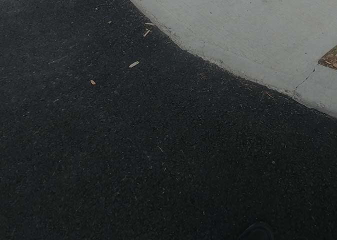 Pose asphalte Beloeil